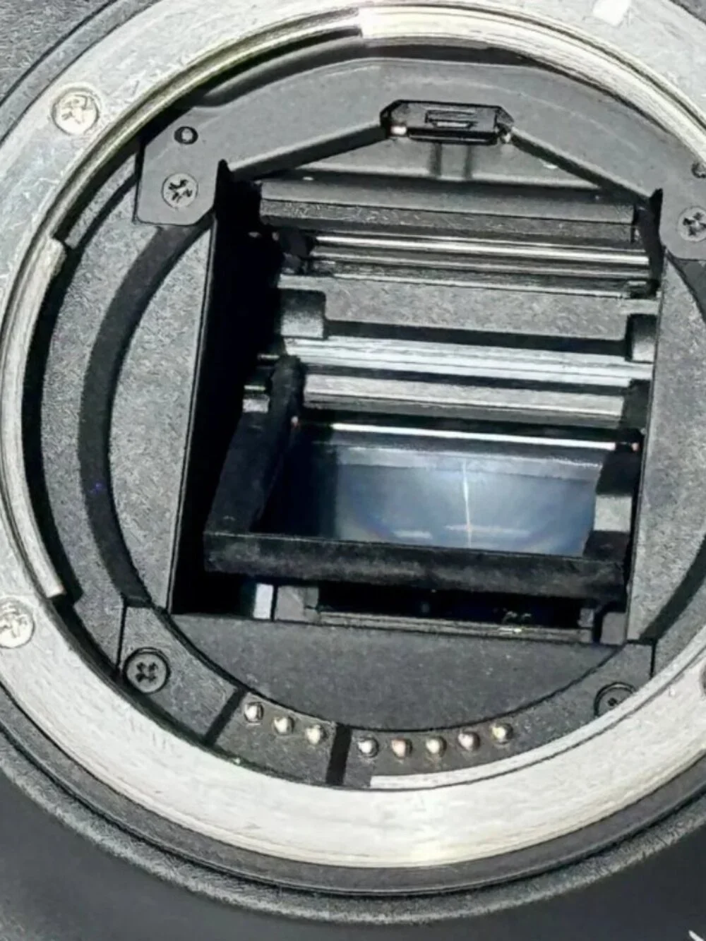 Canon very good